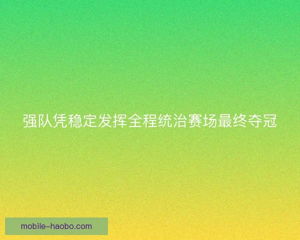 强队凭稳定发挥全程统治赛场最终夺冠
